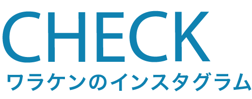 checkワラケンのインスタグラム